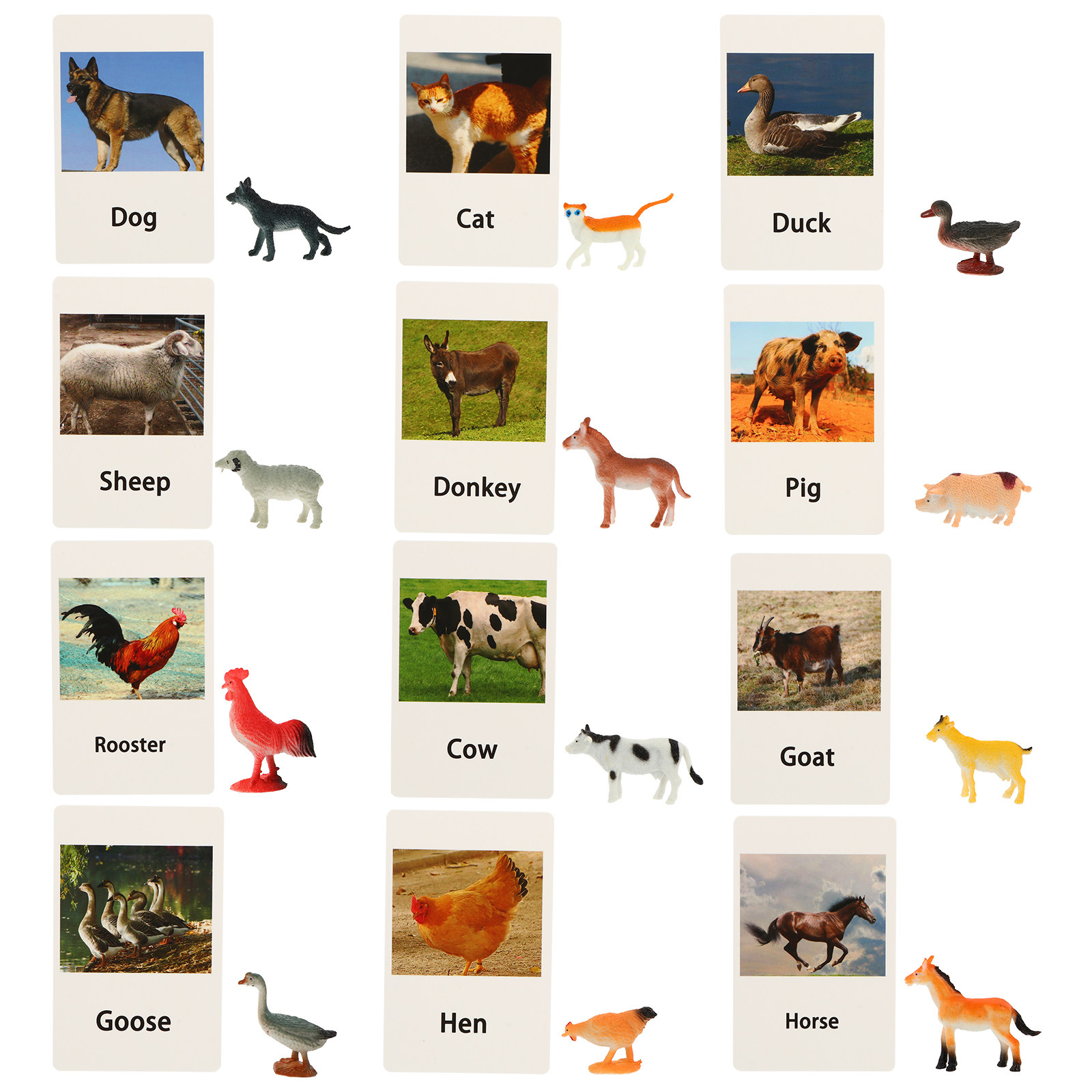Kids Education Fun - 1 set dierenkaarten, geschikt voor cognitief