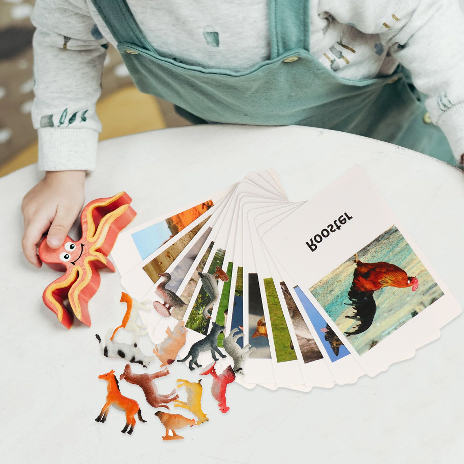 1 set dierenkaarten, geschikt  - Kids Education Fun recensie en prijs